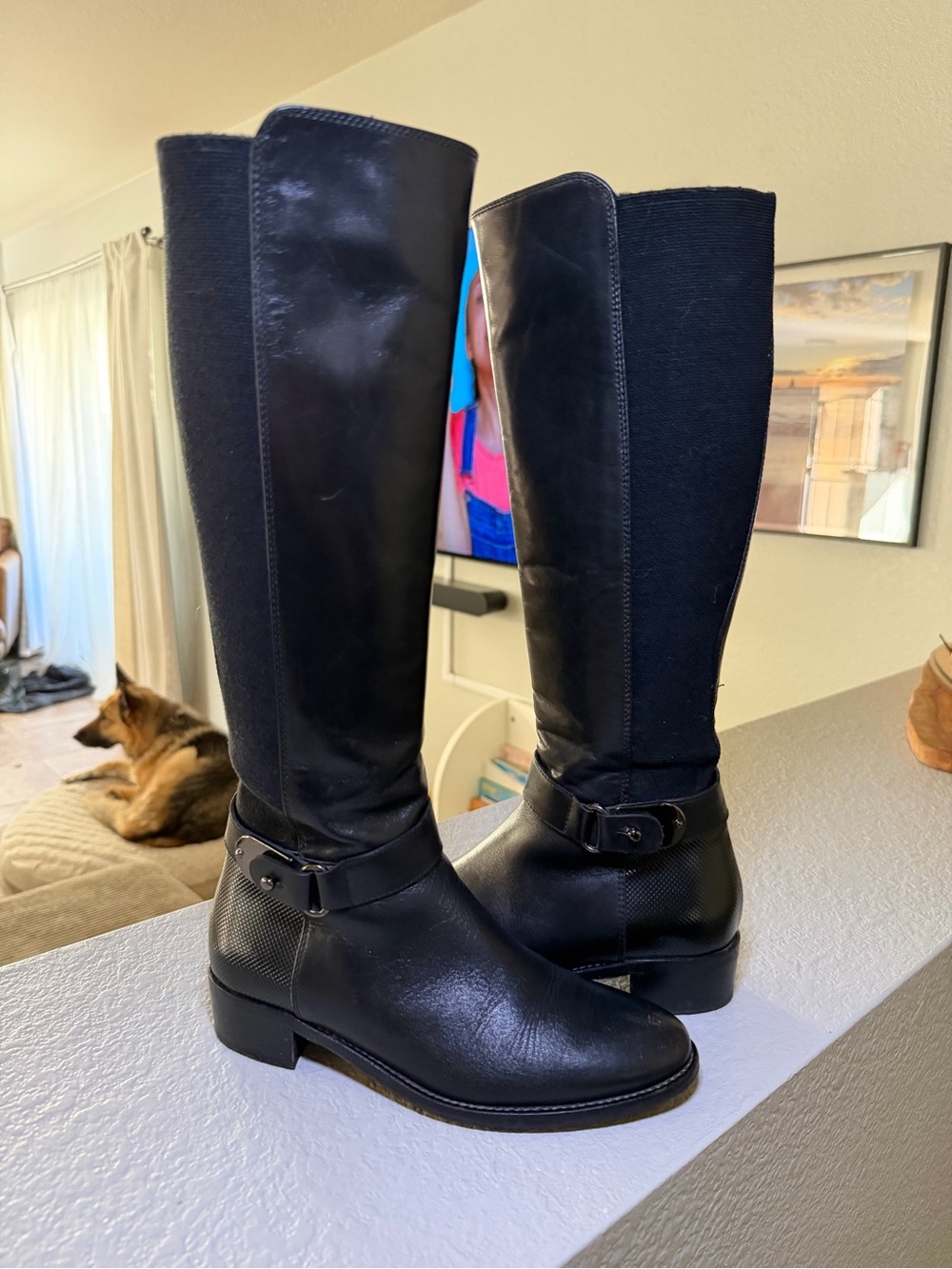 Aquatalia Black Riding Boots with Buckle Accent